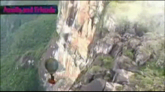 Animation